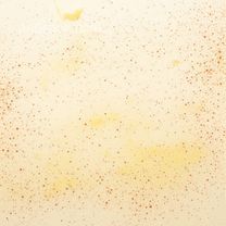 Image Step 02
